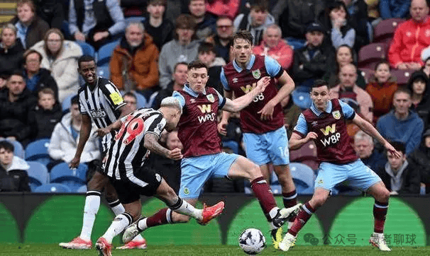 专注于自身 专注于自身