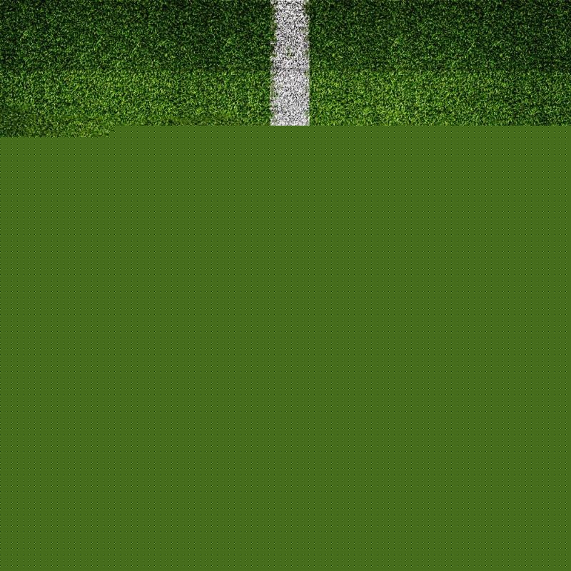 不仅令球迷 不仅令球迷