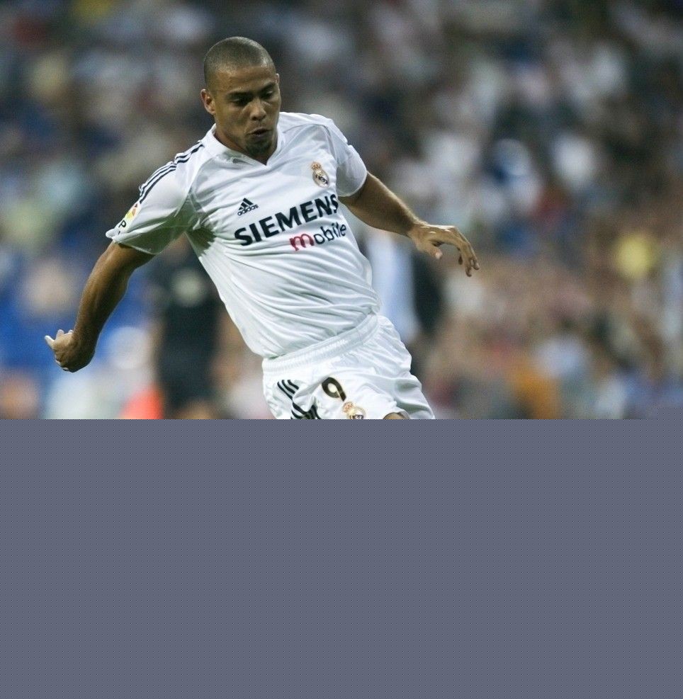 展现出极高 展现出极高