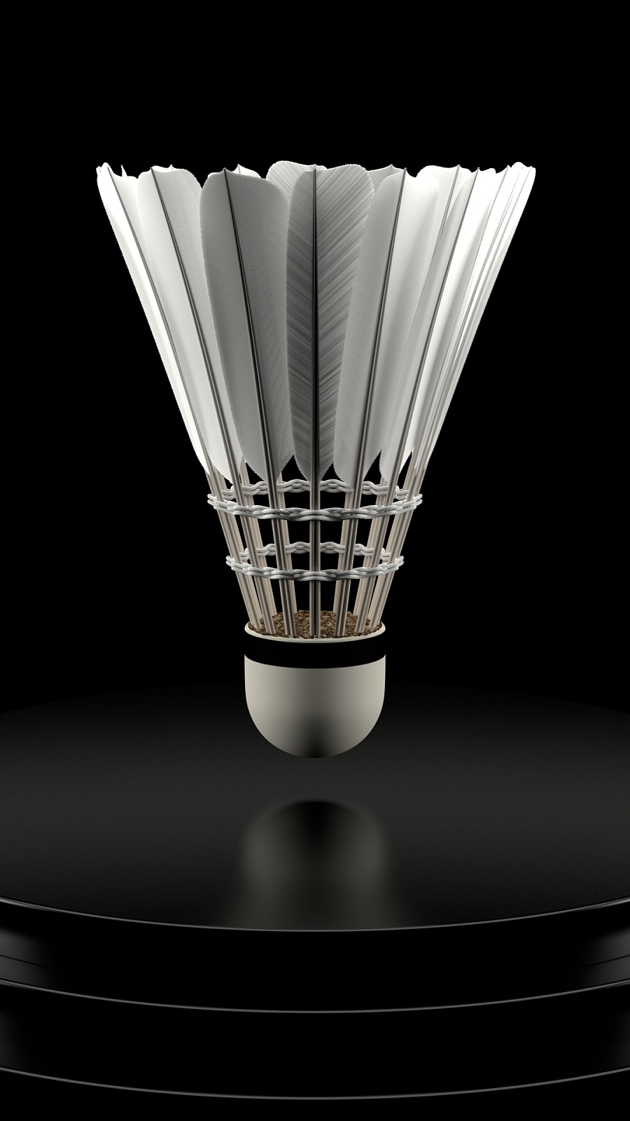 制凯尔特人 制凯尔特人