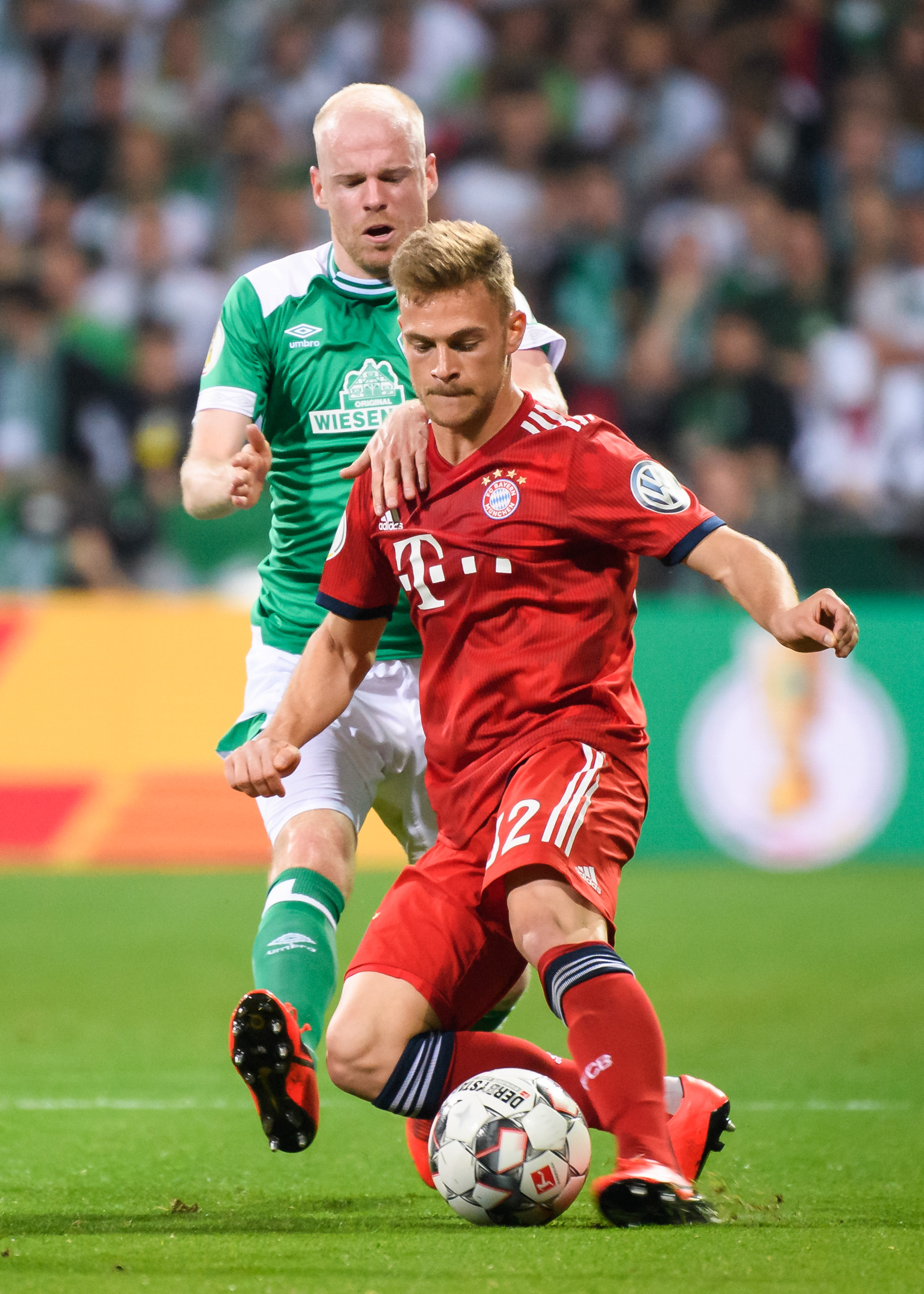 凯恩凭借卓 凯恩凭借卓